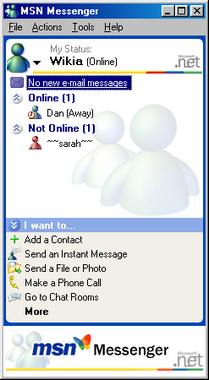 MSN Messenger 4.6 Interface